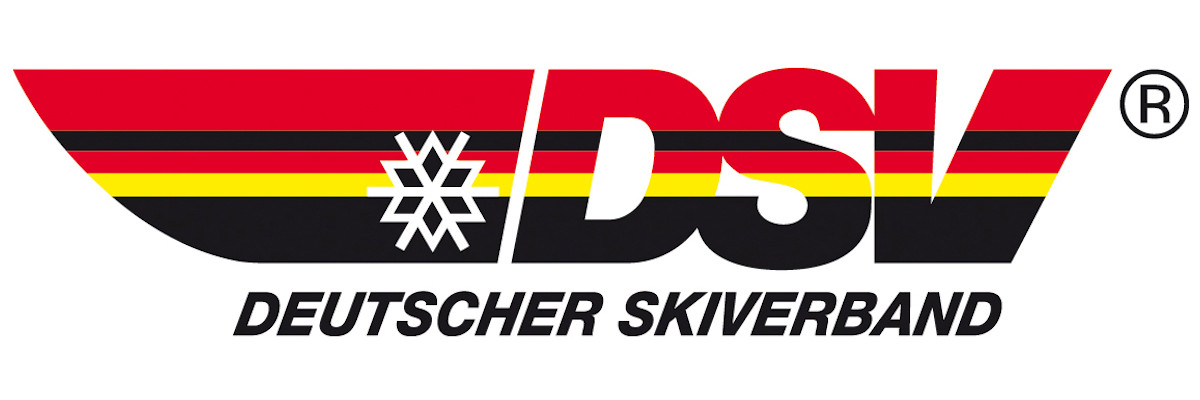 DSV_logo2